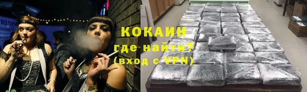 прущие грибы Сатка