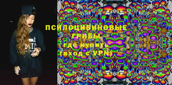 дмт Бородино