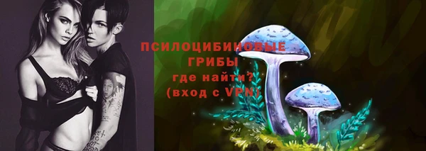 дмт Бородино