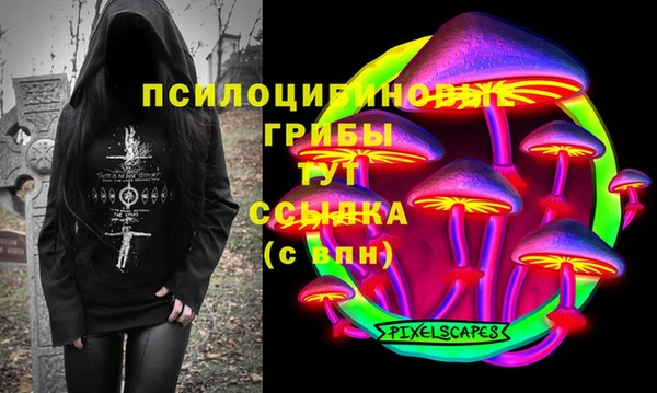 дмт Бородино