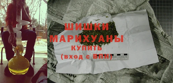 дмт Бородино