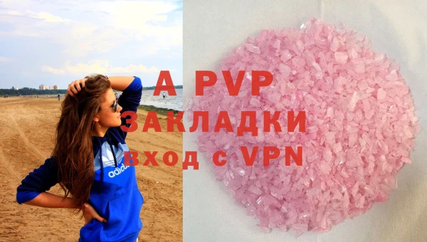дмт Бородино