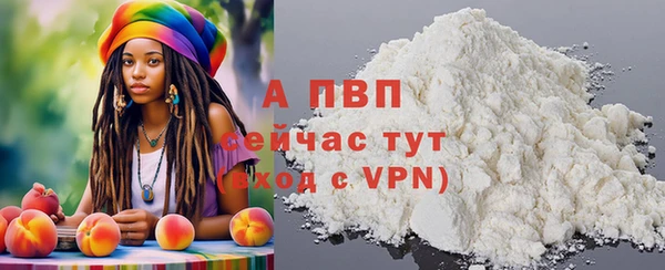 дмт Бородино