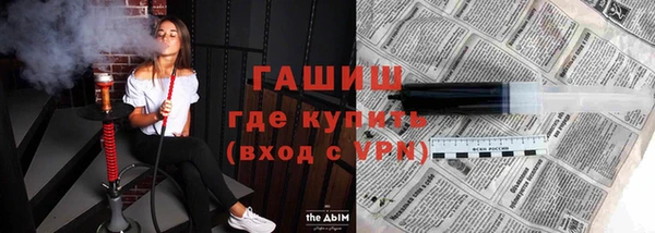 дмт Бородино