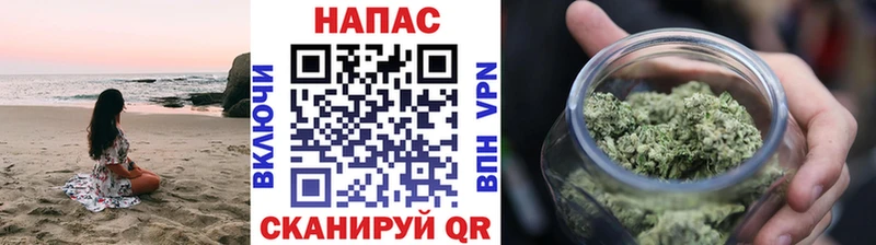 Купить закладки  Боровичи  Бошки Шишки планчик 